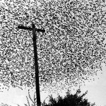 graciela-iturbide