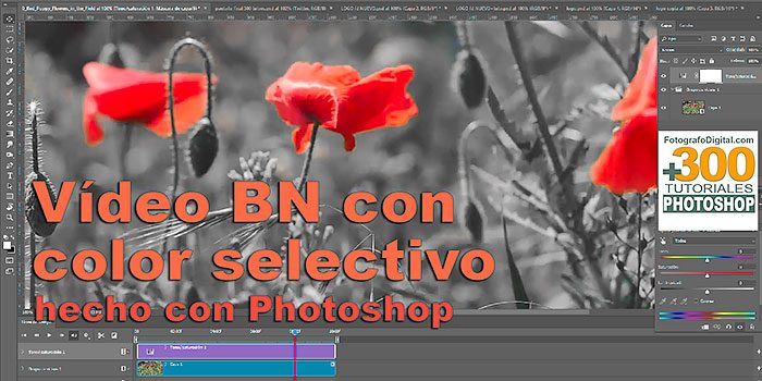 Tutorial Convertir Vídeo A Blanco Y Negro Con Color Selectivo En Photoshop