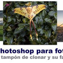 16-Curso Photoshop - el tampon de clonar