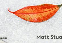 Piensa como un fotógrafo de calle, un libro con toda la maestría del gran Matt Stuart Matt Stuart fotografía de calle