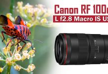 Canon RF100mm F2.8 L Macro, posiblemente la mejor lente macro de Canon Canon RF100mm F2.8 L Macro