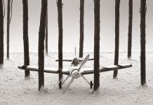 Las imágenes de Chema Madoz vistas con Crueldad, exposición en Madrid Chema Madoz exposición Crueldad