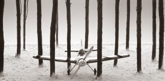 Las imágenes de Chema Madoz vistas con Crueldad, exposición en Madrid Chema Madoz exposición Crueldad