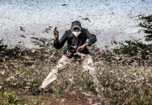 El World Press Photo vuelve a Madrid con las imágenes más impactantes del mundo World Press Photo 2020