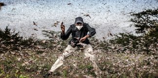 El World Press Photo vuelve a Madrid con las imágenes más impactantes del mundo World Press Photo 2020