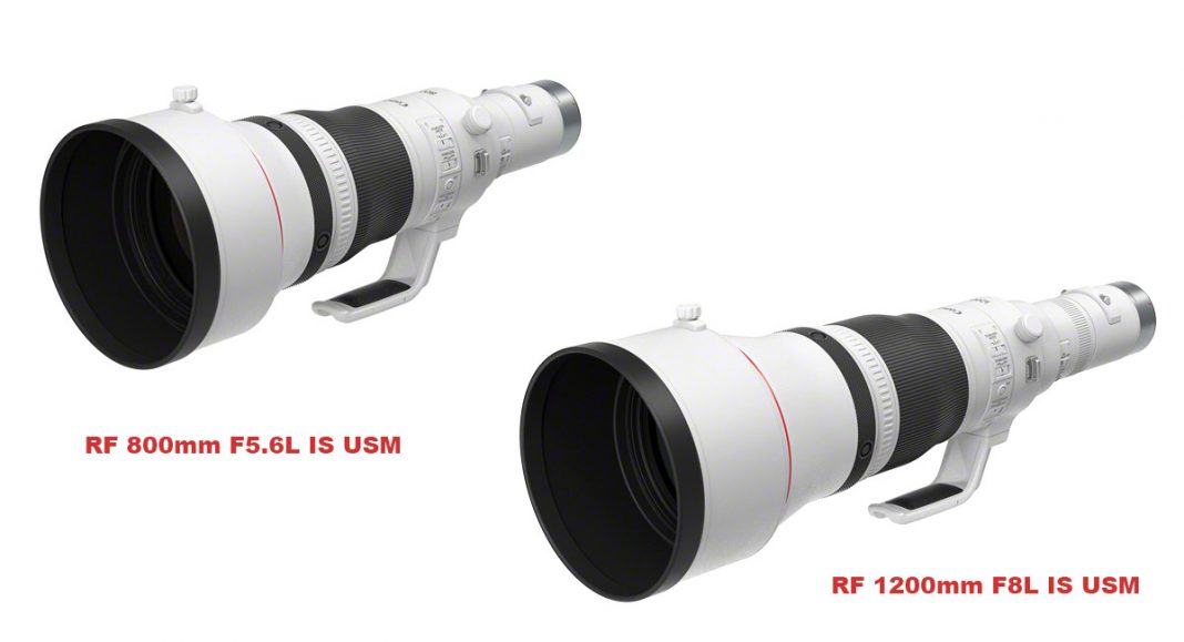 superteleobjetivos Canon RF de 800 y 1200 mm