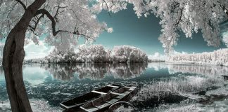 Fotografía infrarroja, fundamentos y secretos