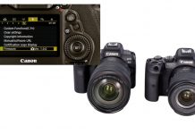 Nuevas versiones de firmware para Canon EOS R y EOS