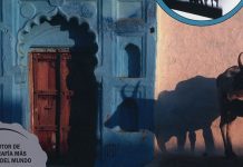 Luz y sombra, un libro magistral de Michael Freeman