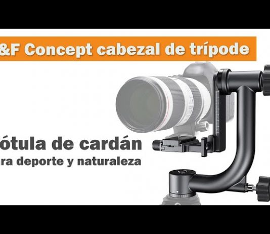 Cabezal de trípode de cardán de K&F Concept: 20 kg de carga para naturaleza y deporte